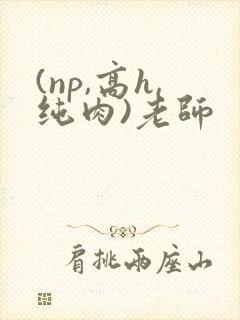 (np,高h,纯肉)老师
