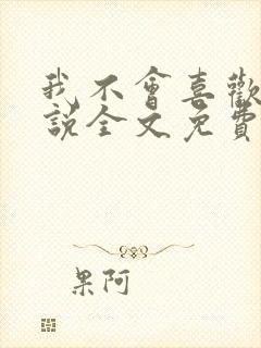 我不会喜欢你小说全文免费阅读