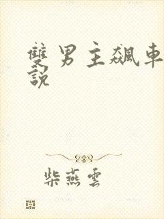 双男主飙车的小说