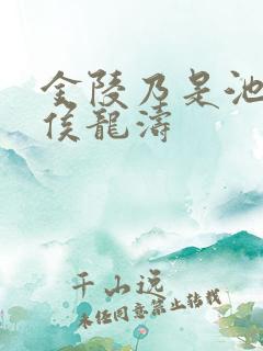 金陵乃是池中物侯龙涛