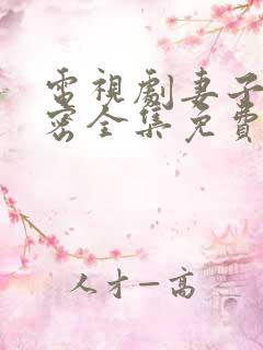 电视剧妻子的秘密全集免费