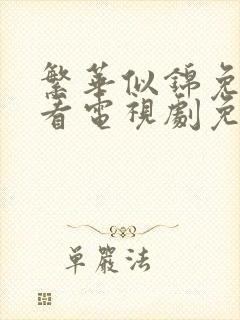 繁华似锦免费观看电视剧免费观看全集