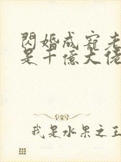 闪婚成宠老公竟是千亿大佬免费阅读