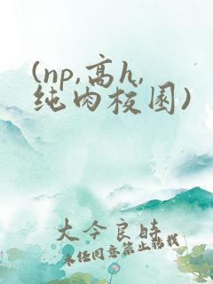 (np,高h,纯肉校园)