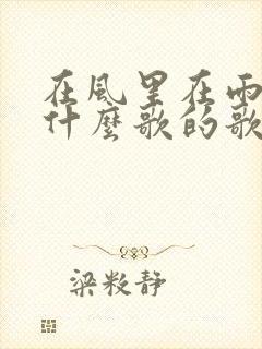 在风里在雨里是什么歌的歌词