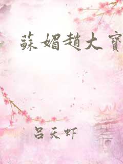 苏媚赵大宝儿媳