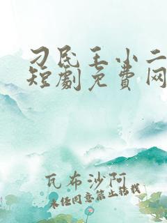 刁民王小二高清短剧免费网站