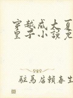 穿越成大夏国九皇子小说免费阅读