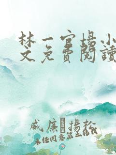 林一官场小说全文免费阅读