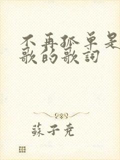 不再孤单是哪首歌的歌词