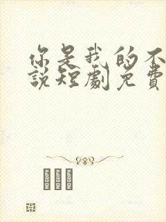 你是我的不可言说短剧免费播放全集