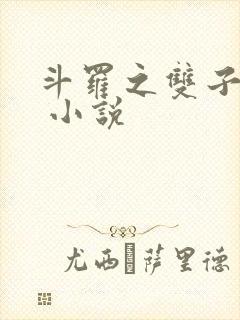 斗罗之双子斗罗 小说