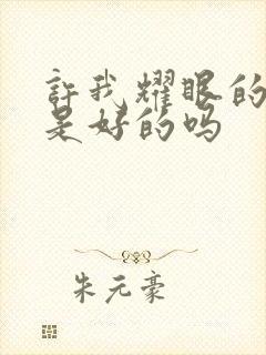 许我耀眼的结局是好的吗