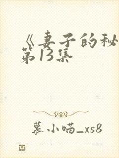 《妻子的秘密》第13集