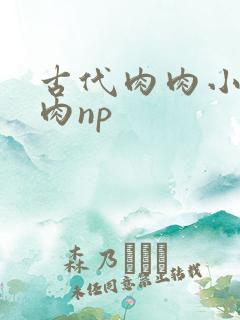 古代肉肉小说纯肉np