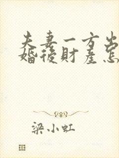 夫妻一方出轨离婚后财产怎么分配