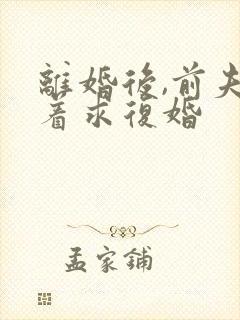 离婚后,前夫跪着求复婚