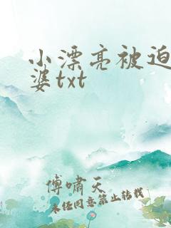 小漂亮被迫当老婆txt