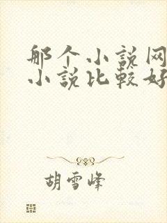 那个小说网站写小说比较好