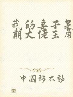 我的妻子是大乘期大佬主角