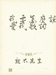 我要怎么说你才爱我歌词