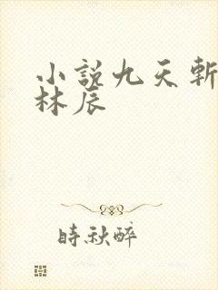 小说九天斩神诀林辰
