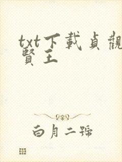 txt下载贞观贤王