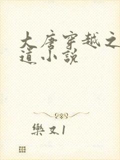 大唐穿越之秦怀道小说