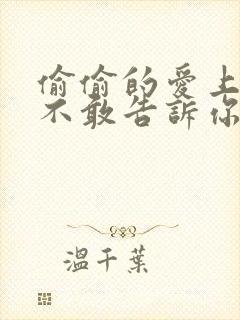 偷偷的爱上你却不敢告诉你什么歌