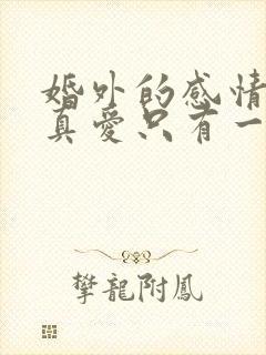 婚外的感情里,真爱只有一种