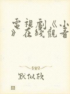 电视剧《小丈夫》在线观看