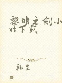 黎明之剑小说txt下载