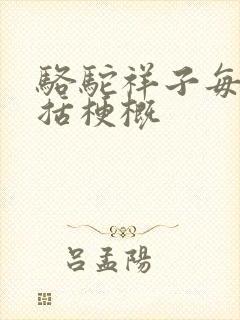 骆驼祥子每章概括梗概