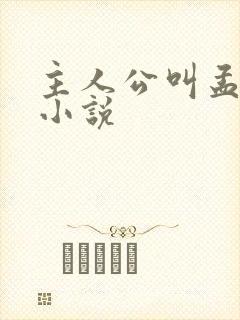 主人公叫孟凡的小说