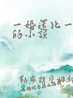一婚还比一婚高的小说