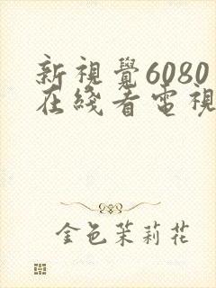 新视觉6080在线看电视剧