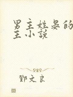 男主姓晏的双男主小说