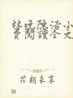 林晚陈浩小说免费阅读全文最新章节