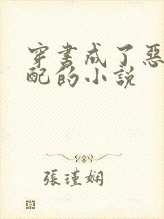 穿书成了恶毒女配的小说