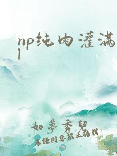 np纯肉灌满bl