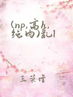 (np,高h,纯肉)乱l