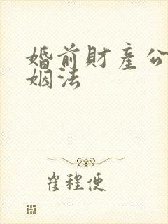 婚前财产公证婚姻法