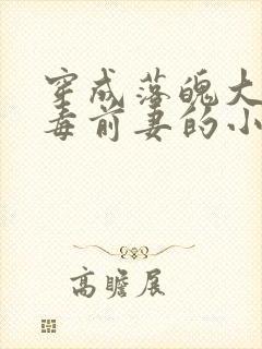 穿成落魄大佬恶毒前妻的小说