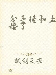 分手后和上司闪婚了