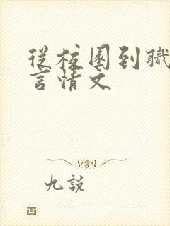 从校园到职场的言情文