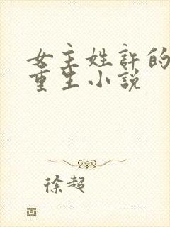 女主姓许的古代重生小说