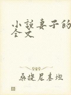 小说妻子的秘密全文