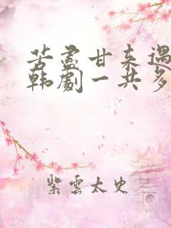 苦尽甘来遇见你韩剧一共多少集