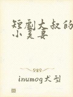 短剧大叔的甜宠小美妻