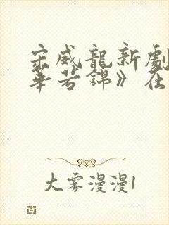 宋威龙新剧《韶华若锦》在哪看